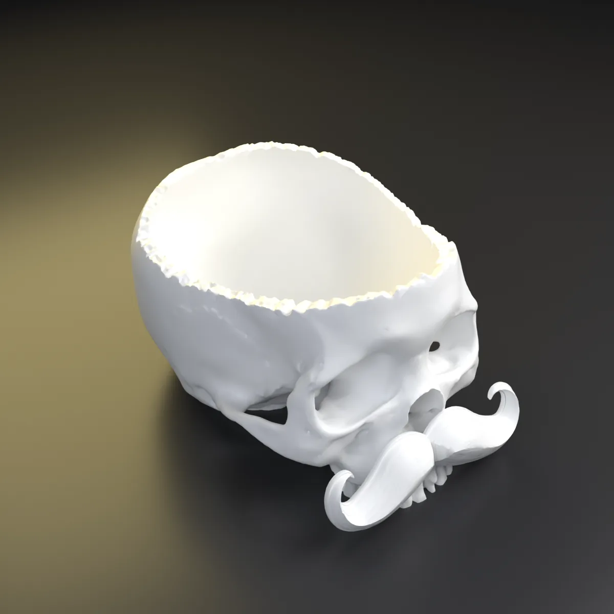 Calavera con bigote — otro ángulo
