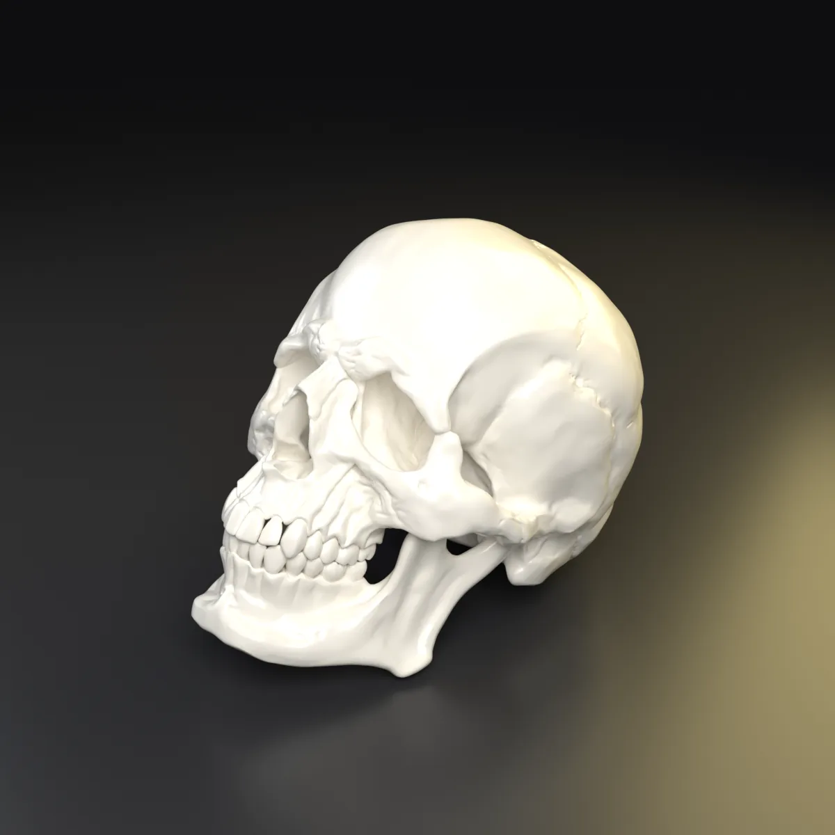 Calavera decorativa