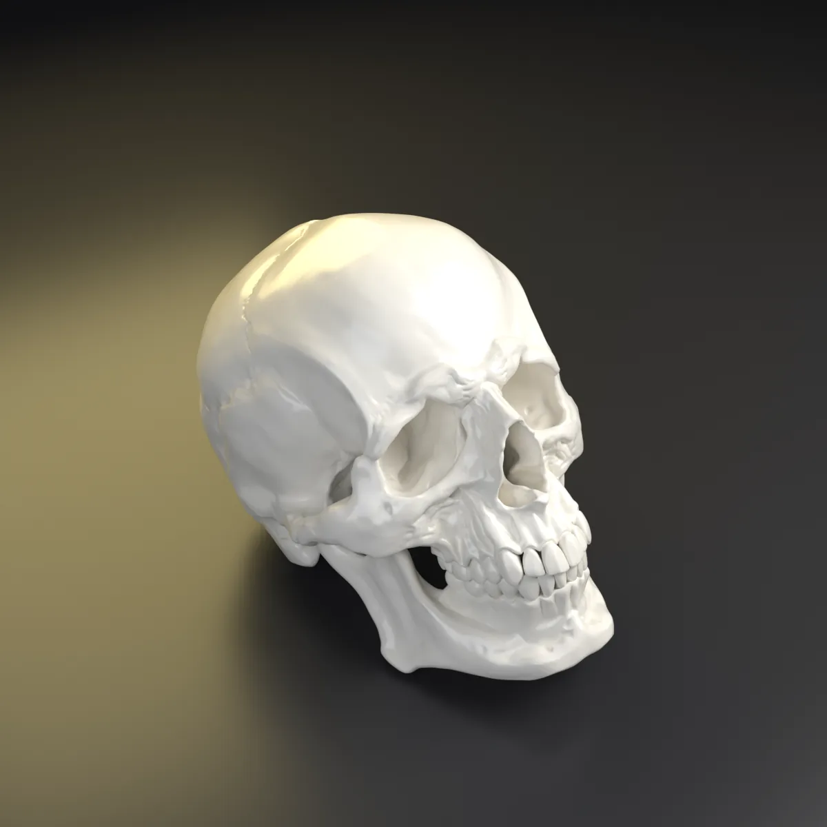 Calavera decorativa — otro ángulo